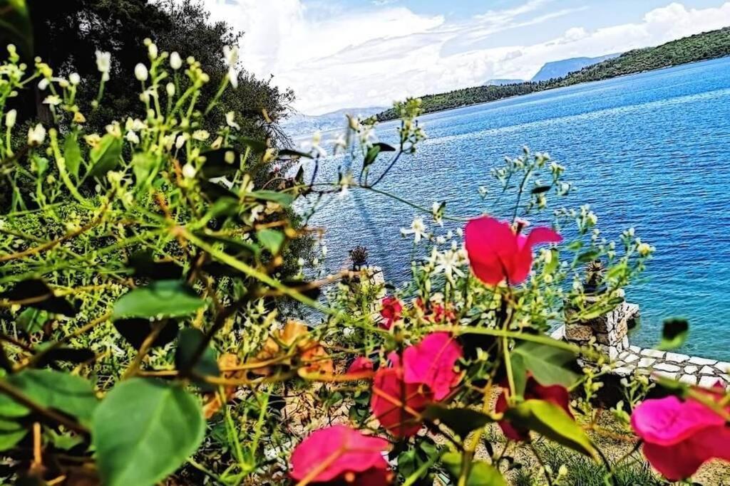 Villa Violeta Lefkada Nydri Buitenkant foto