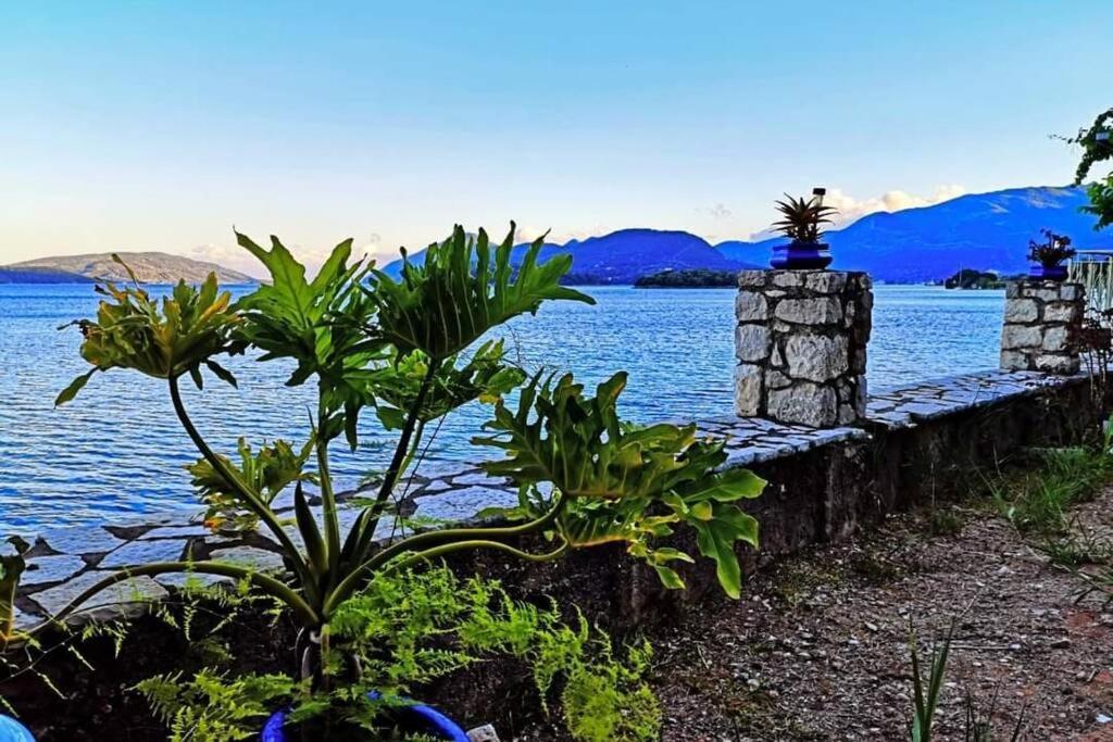 Villa Violeta Lefkada Nydri Buitenkant foto