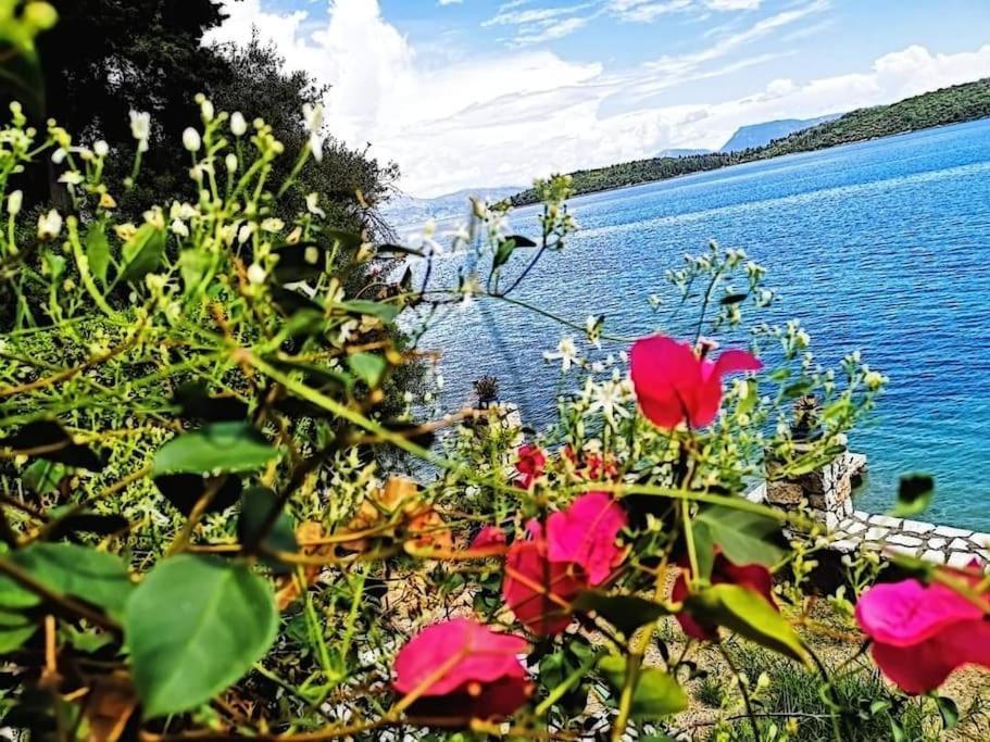 Villa Violeta Lefkada Nydri Buitenkant foto